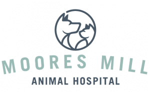 Moores mill animal hospital