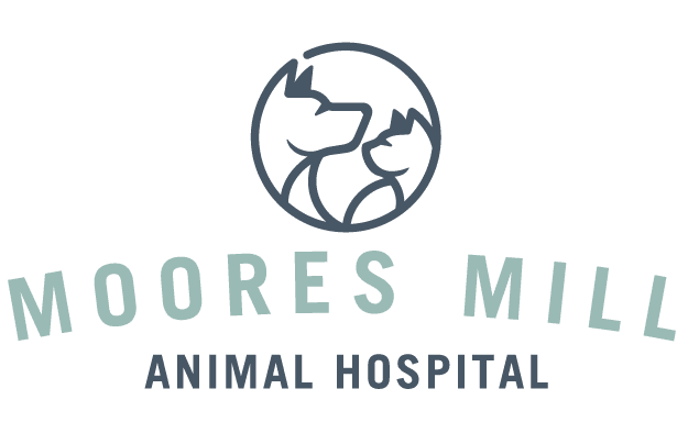 Moores Mill Animal Hospital